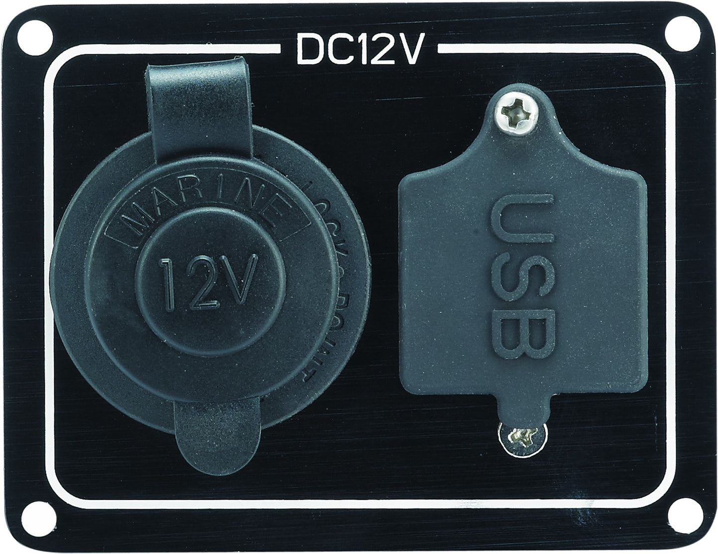 12v Cig Socket & USB Panel